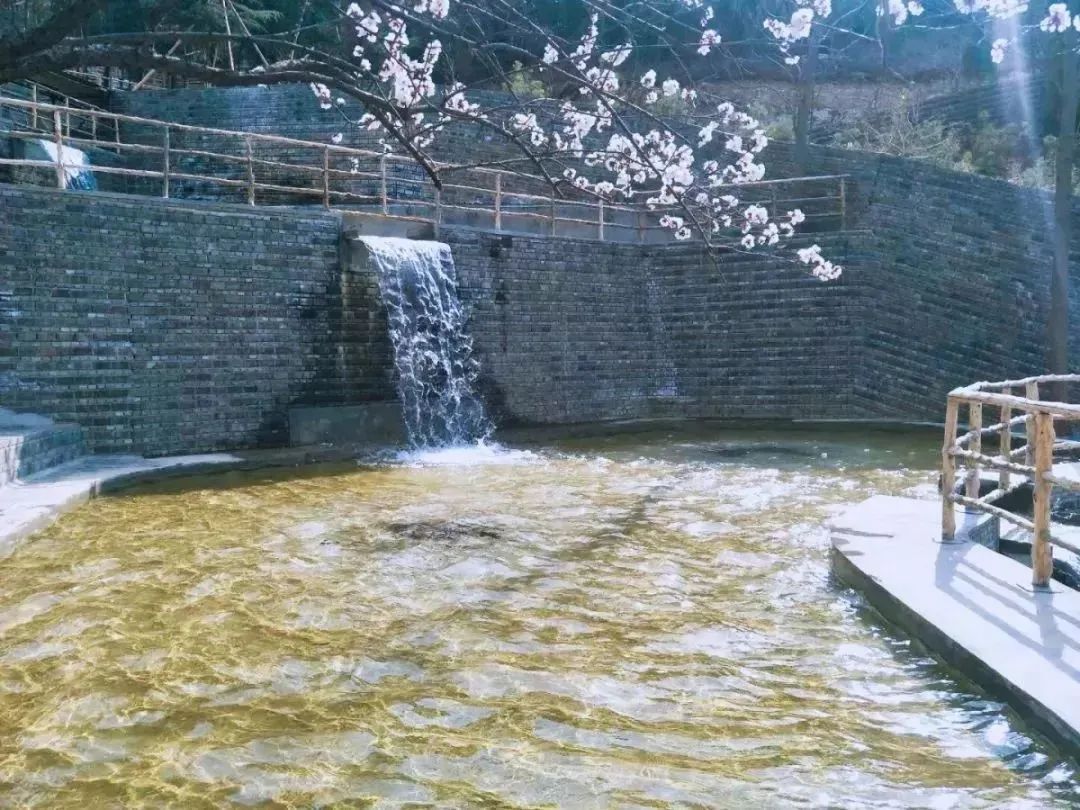 溶洞、观鸟、湿地雨林、网红吊桥、瀑布...只要99元小鲁哥带你清凉一夏