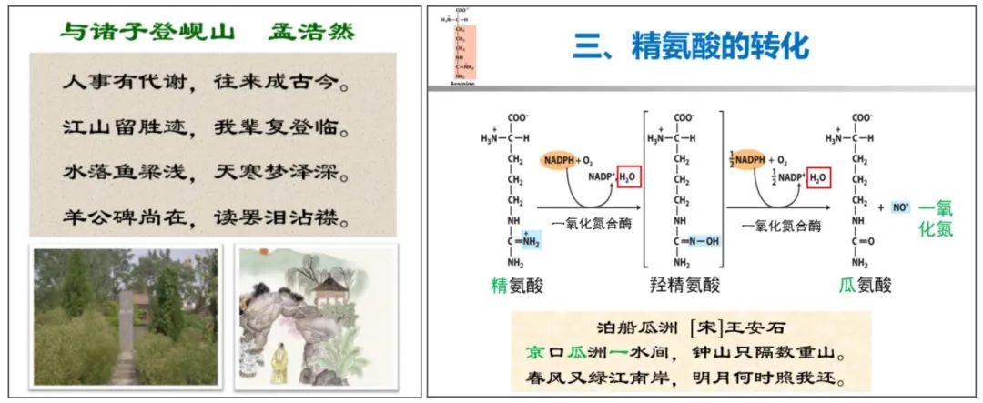 课程思政之中国式现代化,课程思政育人理念融入英语教学