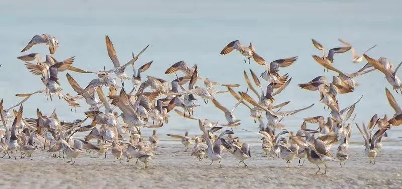 航拍防城港城市视频,航拍防城港市全景美景