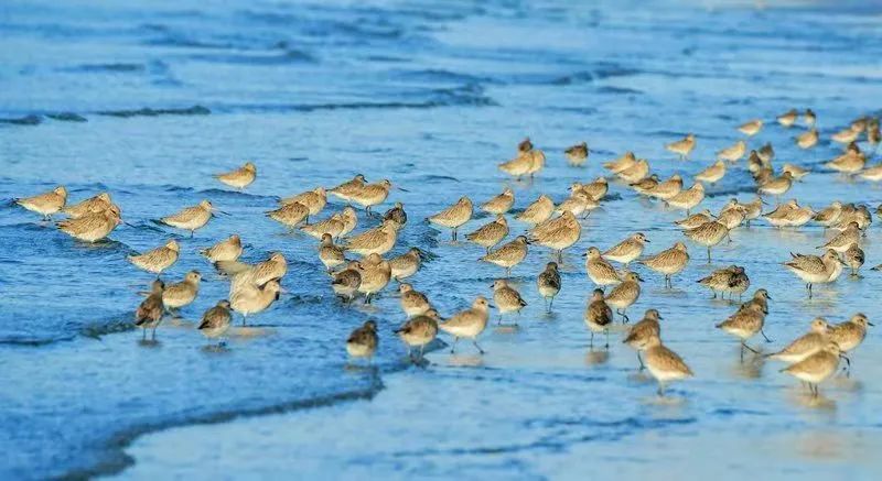 航拍防城港城市视频,航拍防城港市全景美景