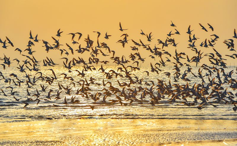 航拍防城港城市视频,航拍防城港市全景美景