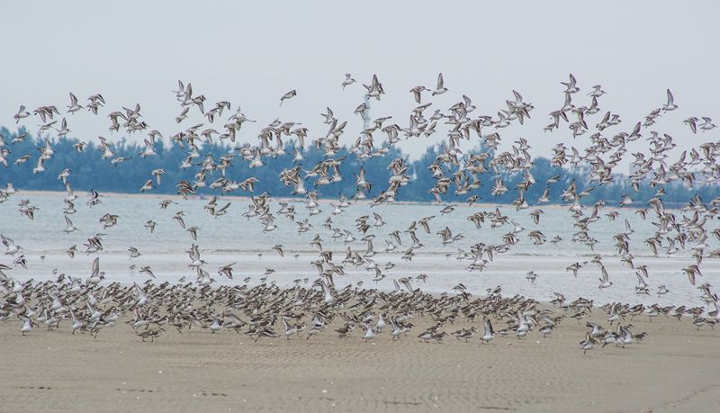 航拍防城港城市视频,航拍防城港市全景美景