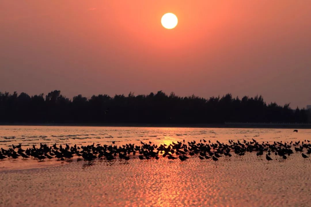 航拍防城港城市视频,航拍防城港市全景美景