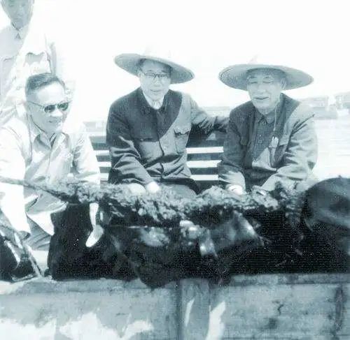 致敬稻田里奉献一生的袁隆平,致敬袁隆平的海水稻