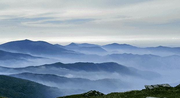超好吃的香甜黑玉米,好吃到哭的玉米片