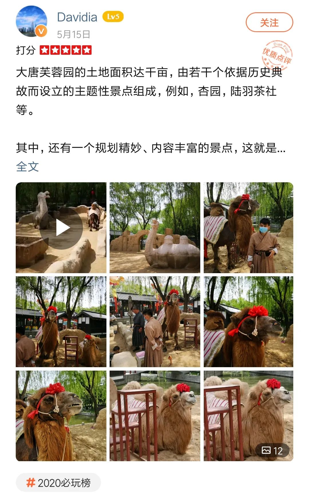 大唐芙蓉园景区全称,大唐芙蓉园必看景点