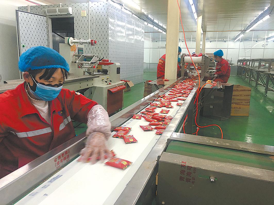 多措并举加快青稞产业发展,青稞发展项目