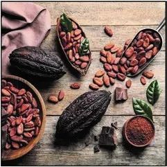 珠江视界|麻醉学科相关最新重要文献导读(2020.06)