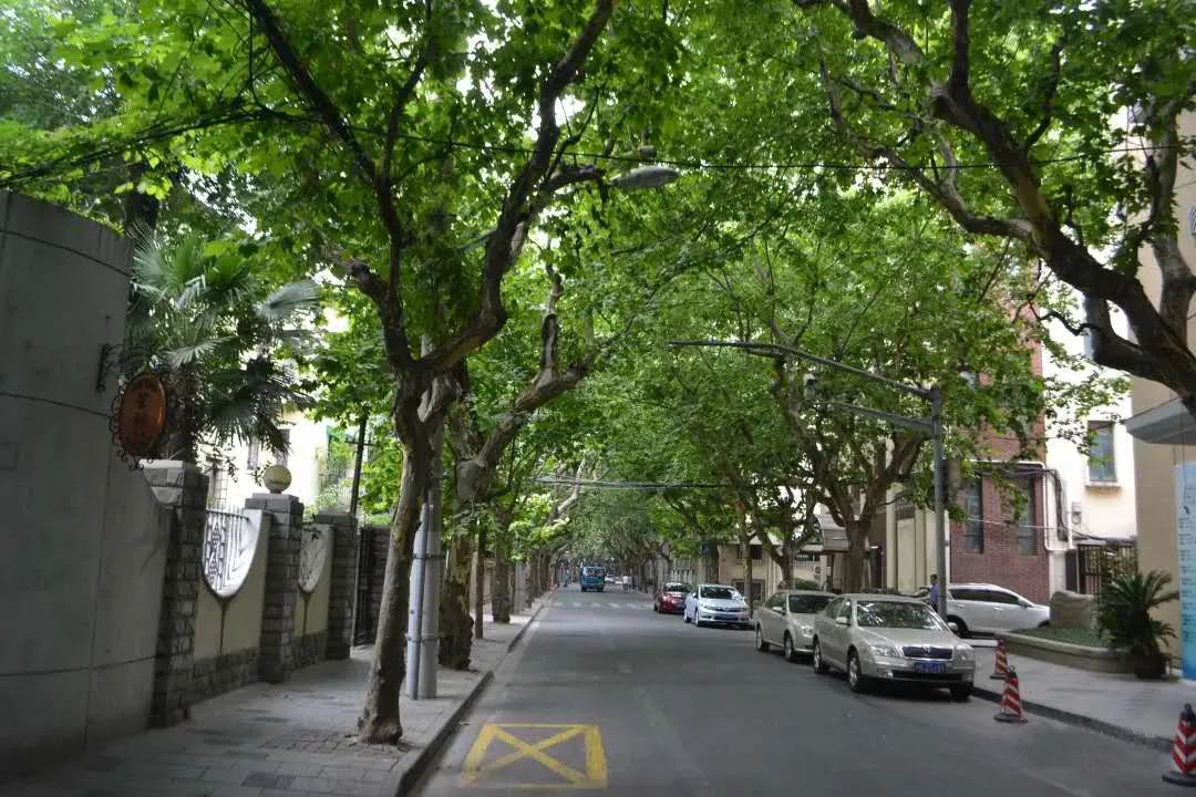 客餐一体设计小户型,客厨一体日式小户型