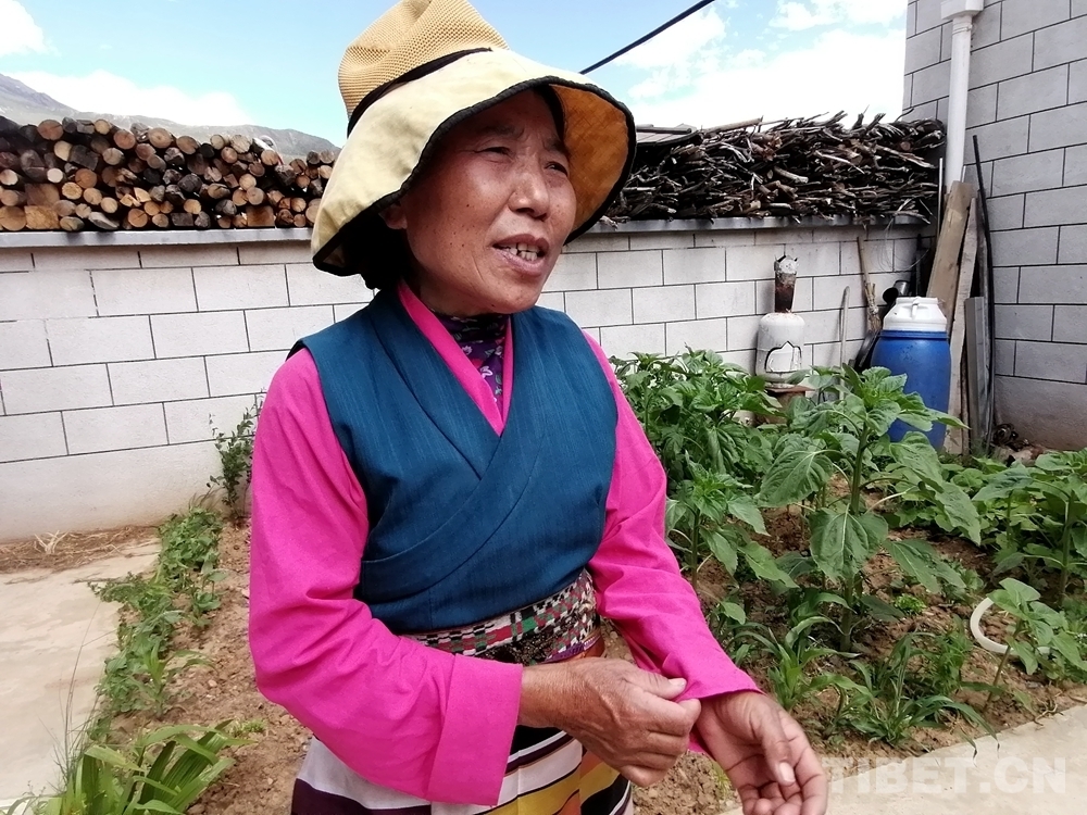 山南加查县易地搬迁,山南农村易地扶贫搬迁