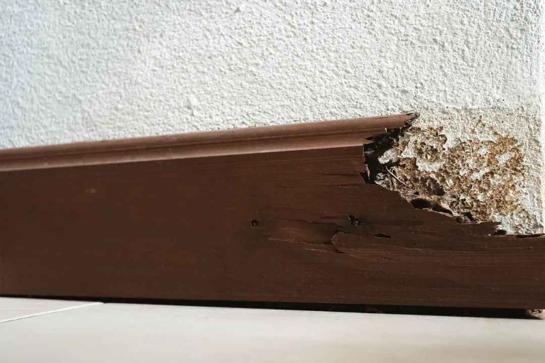 盘点上海通讯录,上海通讯录图鉴