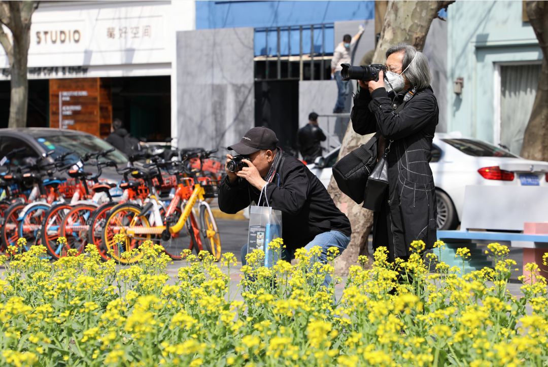 养眼!愚园路上这个“开放式植物乐园”受欢迎!