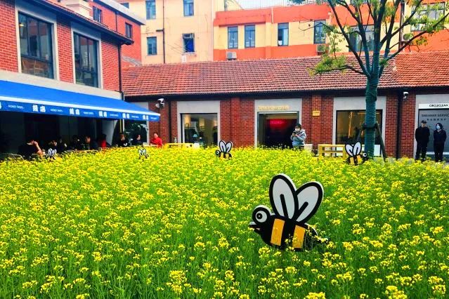 养眼!愚园路上这个“开放式植物乐园”受欢迎!