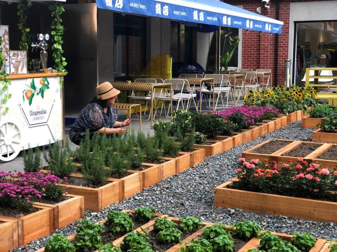 养眼！愚园路上这个“开放式植物乐园”受欢迎！