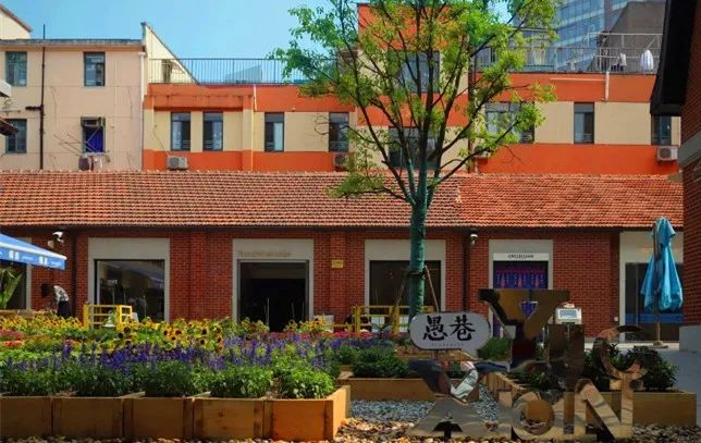 养眼!愚园路上这个“开放式植物乐园”受欢迎!