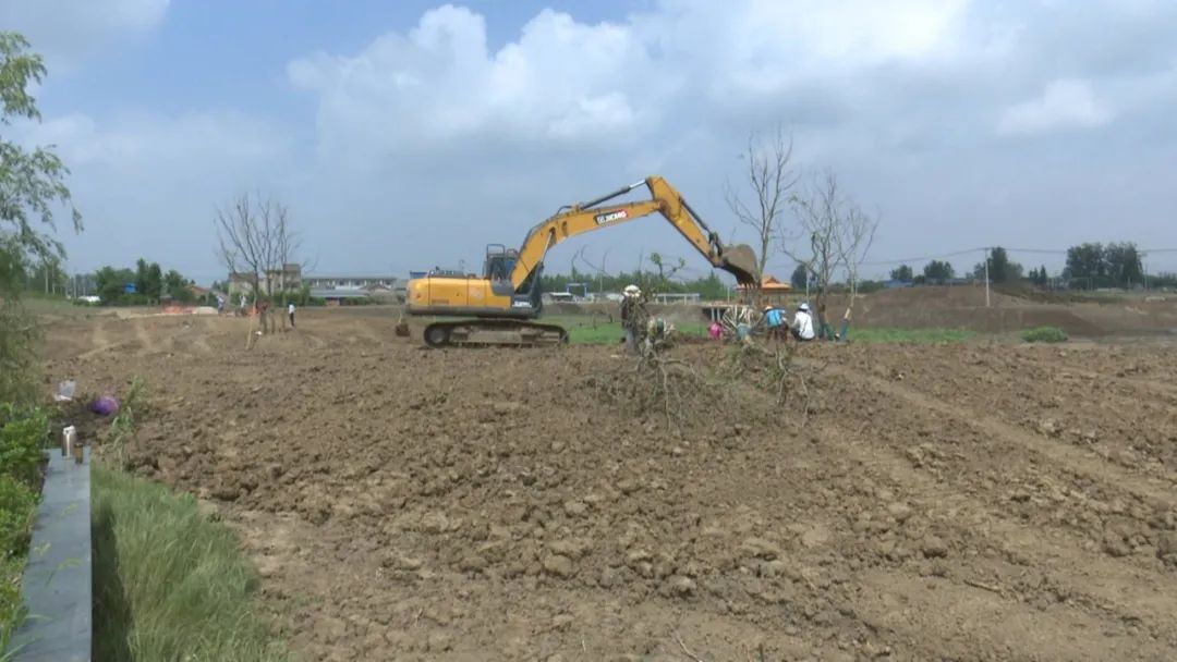 宝应县委书记王逍霄,王逍霄书记