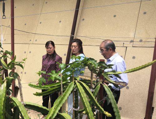 工业强镇农业富民,聚焦打造工业强镇