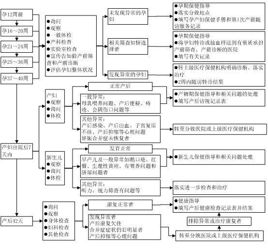 孕期优育，你一定要了解的这些