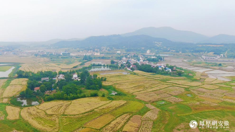 枞阳县改厕,外媒眼中的枞阳