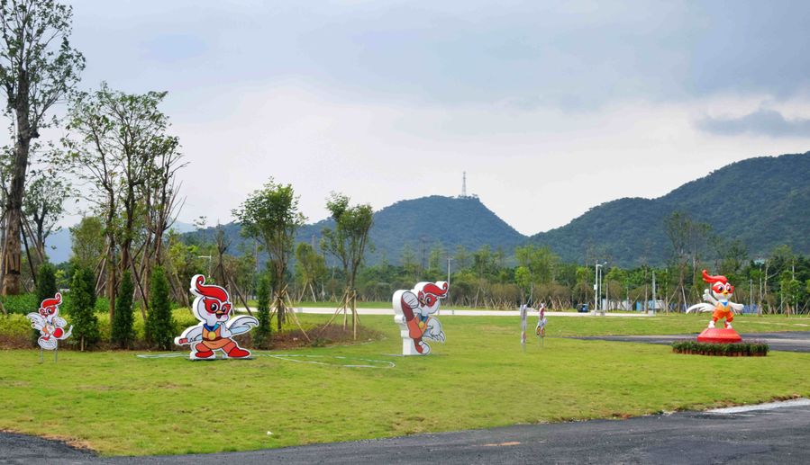 肇庆新区体育中心足球场,广东业余足球标准足球场比赛