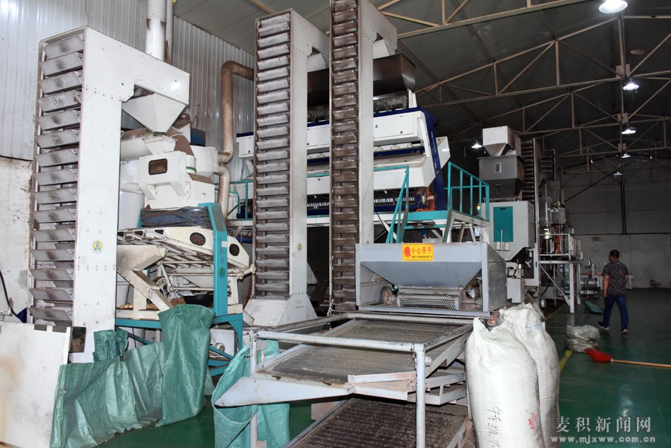 成少平带队督查麦积花椒产业园项目建设情况并召开专题会议