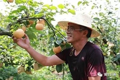 崇阳特产网红小麻花,崇阳美食推荐最新