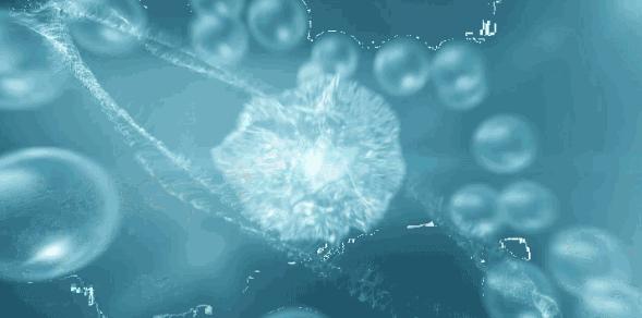 pony使用的底妆,pony化妆从洗脸开始