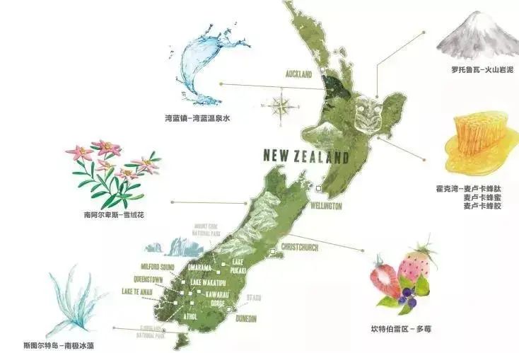 pony使用的底妆,pony化妆从洗脸开始