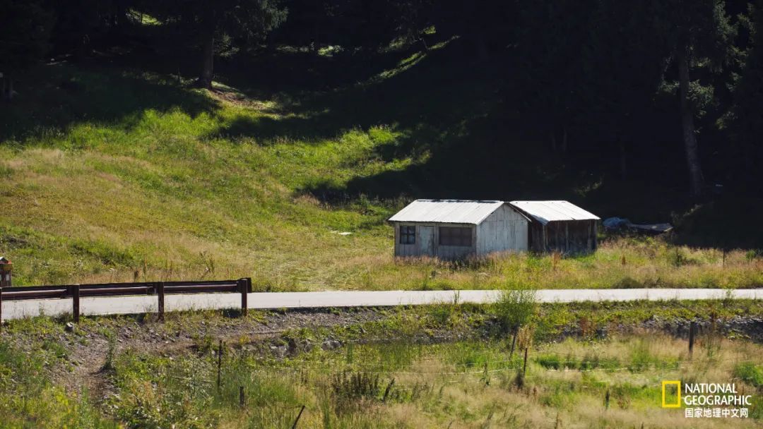 有一种异域风情的美,有一种前所未有的力量充斥着我