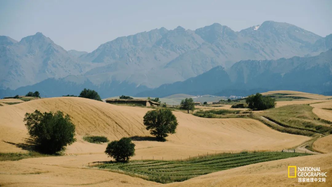 有一种异域风情的美,有一种前所未有的力量充斥着我