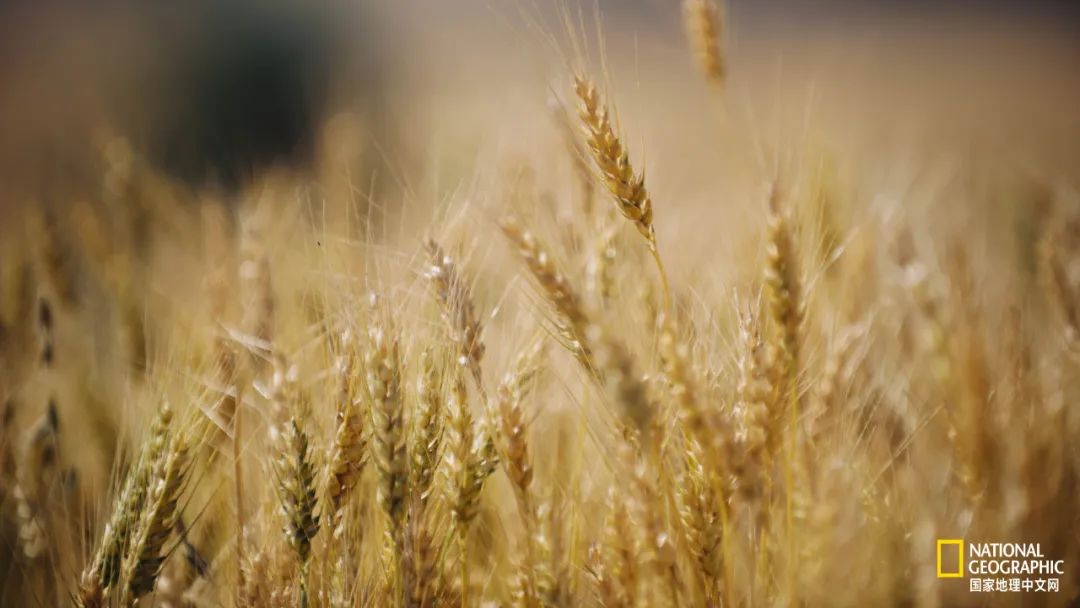 有一种异域风情的美,有一种前所未有的力量充斥着我