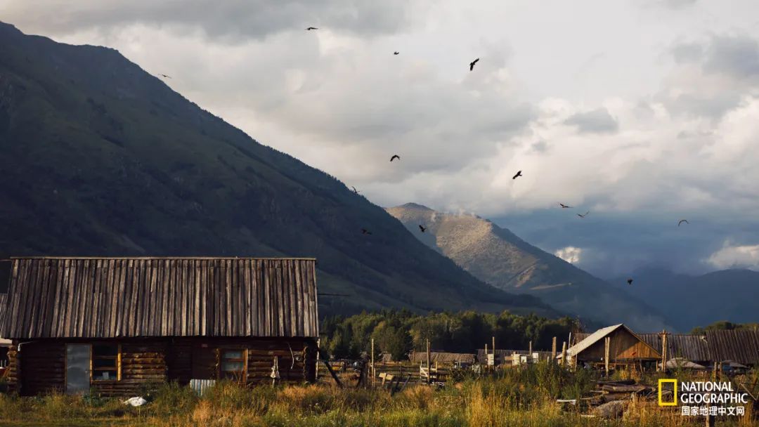 有一种异域风情的美,有一种前所未有的力量充斥着我