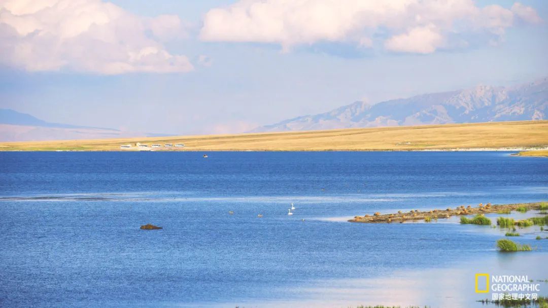 有一种异域风情的美,有一种前所未有的力量充斥着我