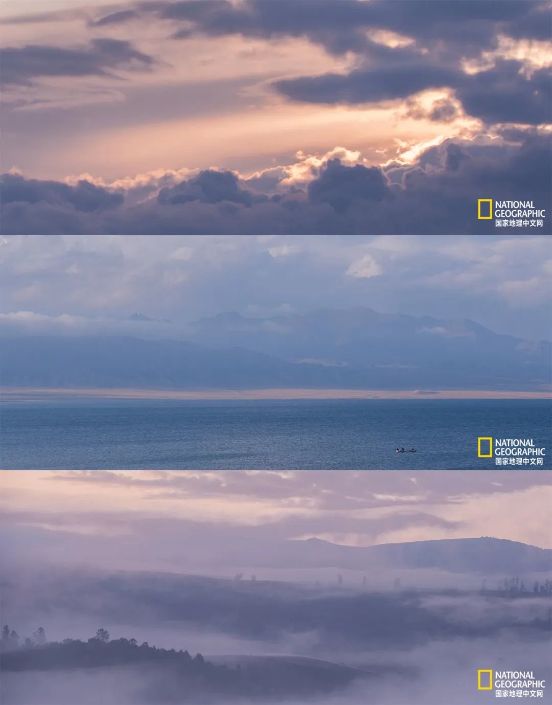 有一种异域风情的美,有一种前所未有的力量充斥着我