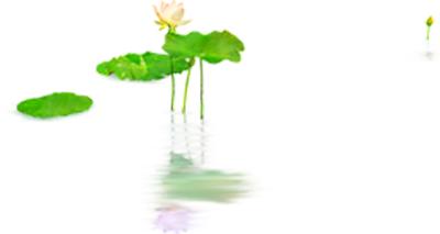 【文之赏】我的父亲