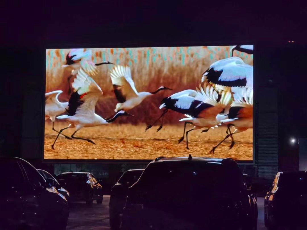 晚上去哪high？“夜猫”们的福利来了！肇庆夜消费指南正式发布！