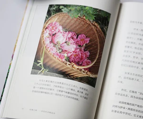 梦露说过的话,梦露香奈儿五号