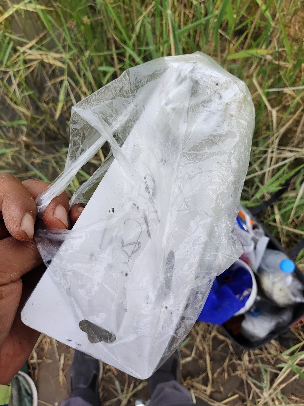 野钓水底有水草调漂最佳方法,野钓水底有枯水草