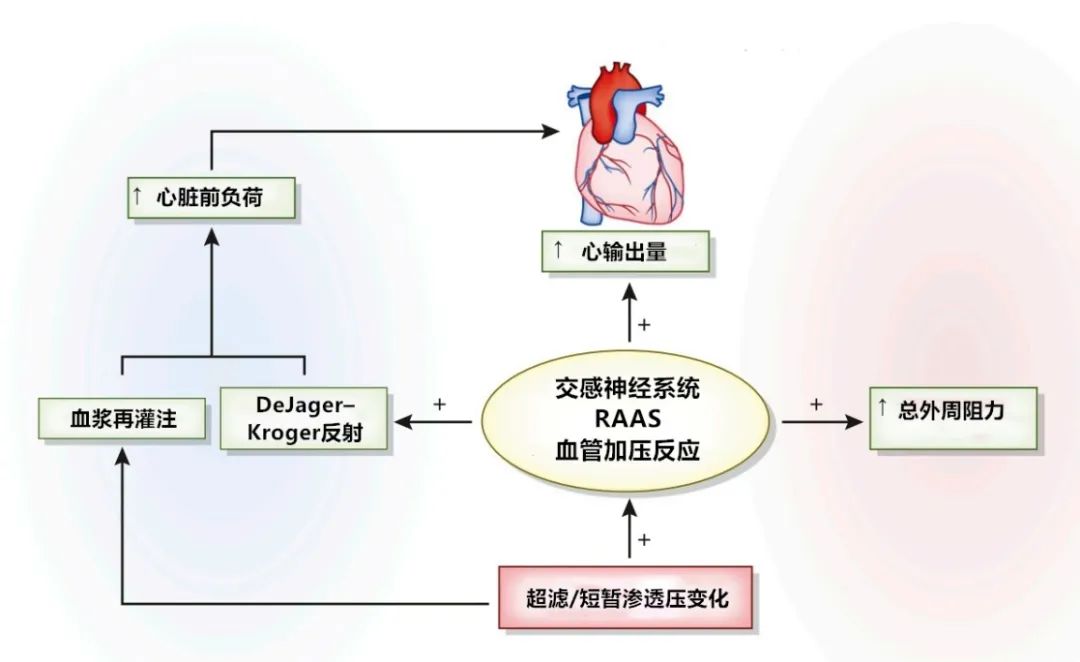 血液透析中低血压的预防与治疗,透析中低血压的原因及预防