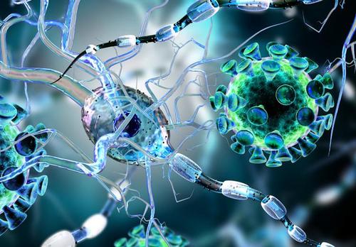 罕见病治疗难在哪儿,罕见病的治疗方法和费用