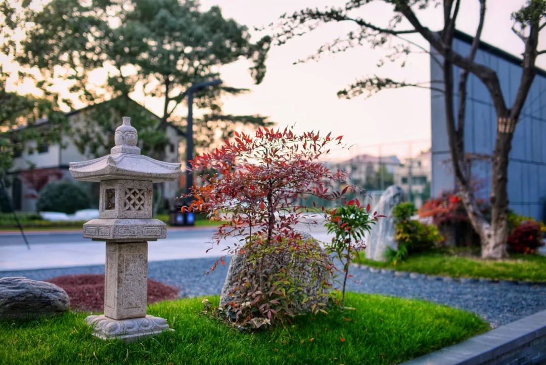 中国最独特的小镇,上海闵行有座美丽之谷