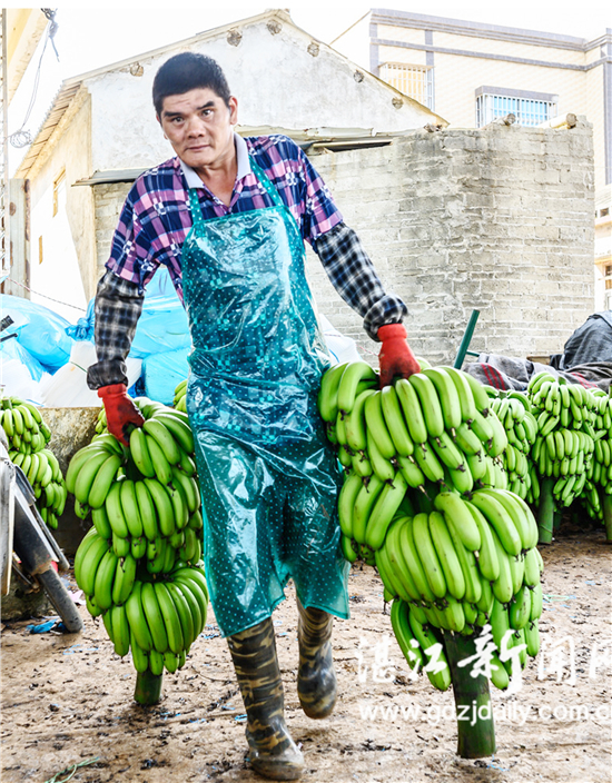 为农业丰收搭桥,为农民牵线搭桥