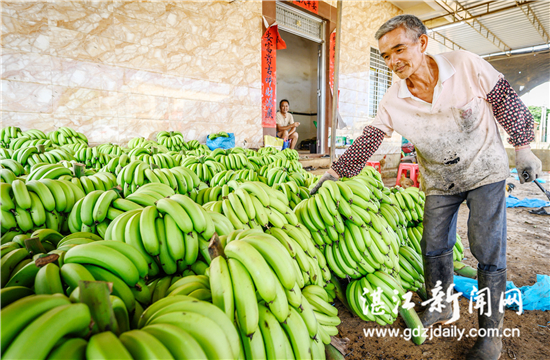 为农业丰收搭桥,为农民牵线搭桥