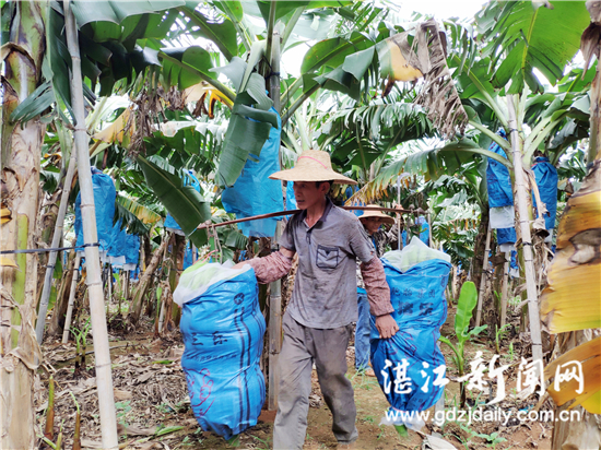 为农业丰收搭桥,为农民牵线搭桥