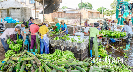 为农业丰收搭桥,为农民牵线搭桥