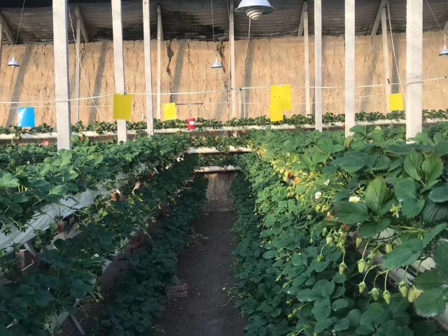 莱州珠江村镇银行股份有限公司,莱州珠江村镇银行靠谱吗