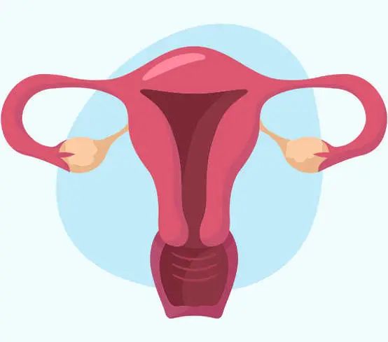 回阳草真的有效吗,回阳草的用途