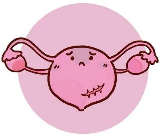 回阳草真的有效吗,回阳草的用途