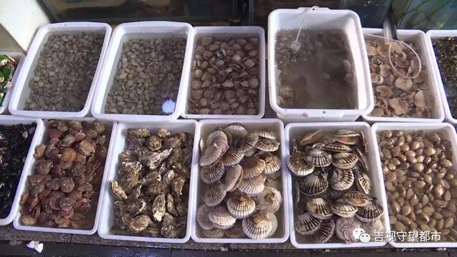 长春水产海鲜市场封了吗,市场监管总局对日本水产品严查