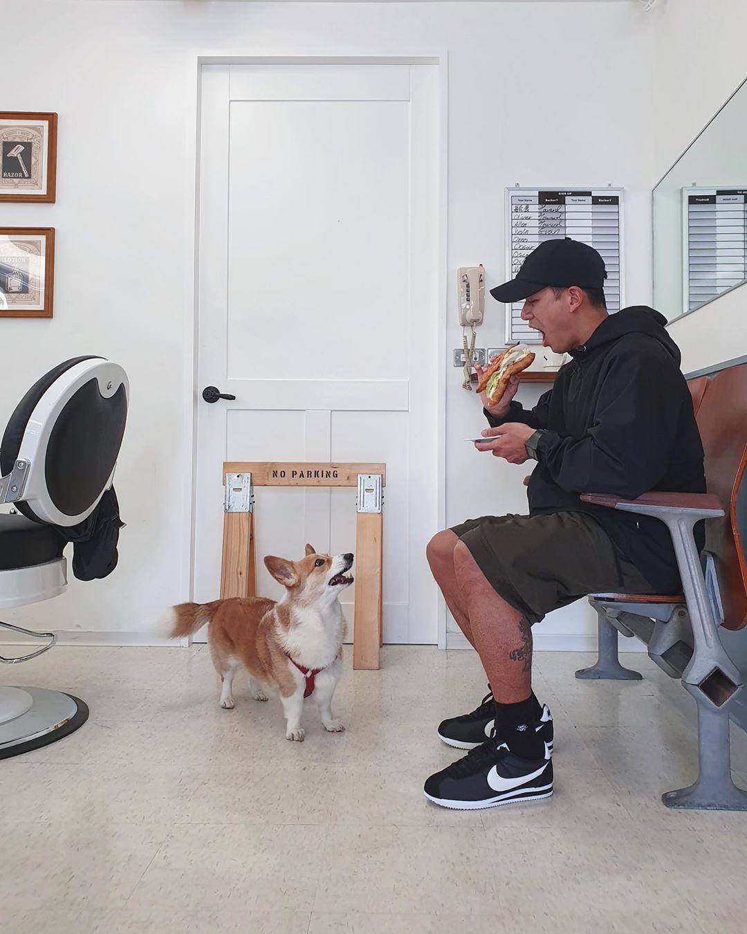 nike经典阿甘,nike复古阿甘系列